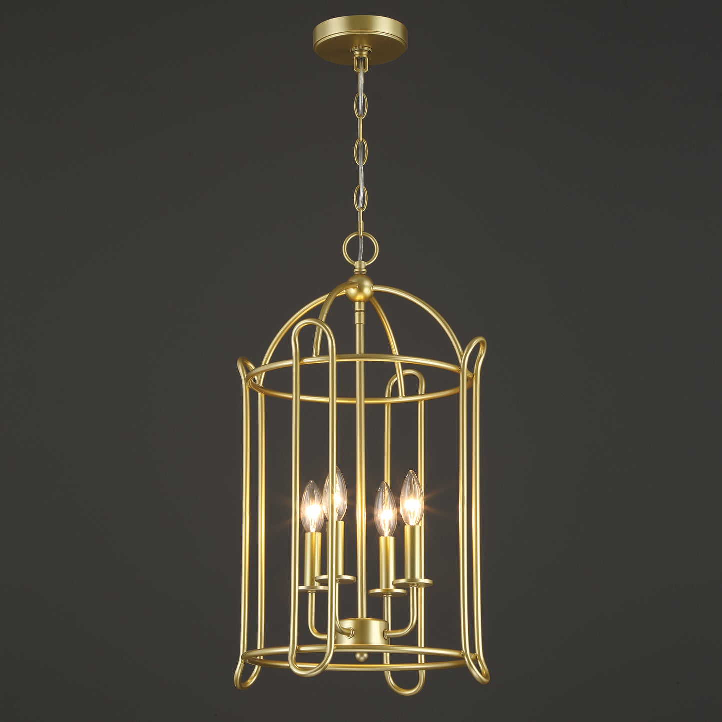 Telluride 4-Light Lantern Cage Chandelier